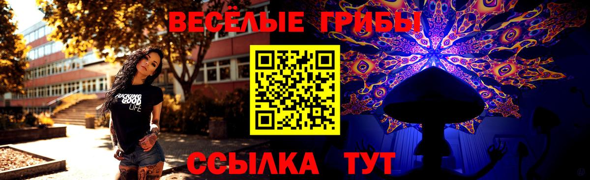 Псилоцибиновые грибы мицелий  Псилоцибиновые грибы мицелий  Вход с VPN  Калач-на-Дону 
