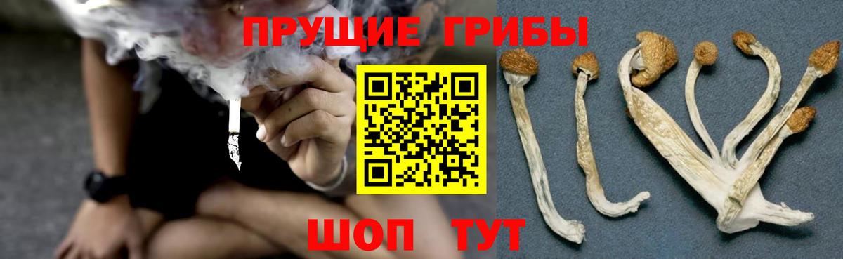 Галлюциногенные грибы прущие грибы Калач-на-Дону